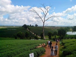 Wisatawan menikmati pemandangan di Choui Fong. (Foto: Yussak Anugrah)